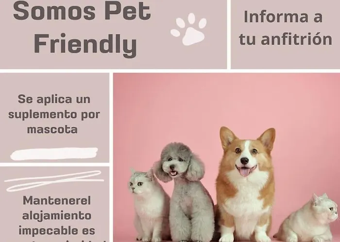 Segundo Antolin Yellow Door 公寓 蓬费拉达